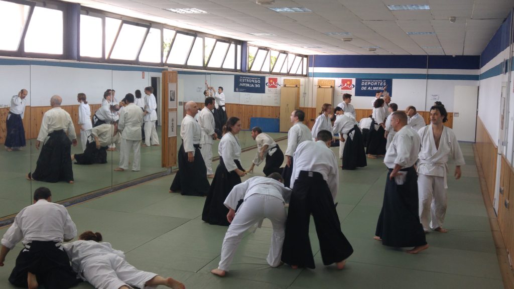 Almería Aikikai - Clases de Aikido en Almería, artes marciales en Almería